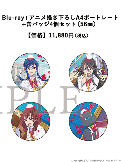 アニメイト(通販含む) 缶バッジ4個セット